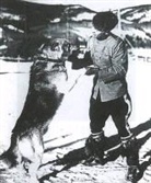 Helene Dobrowolsky - Law of the Yukon