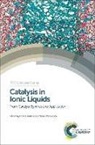 Chris Hardacre, Chris (University of Manchester Hardacre, Chris Parvulescu Hardacre, Prof. Chris (University of Manchester Hardacre, Chris Hardacre, Chris (University of Manchester Hardacre... - Catalysis in Ionic Liquids