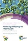 Michael (NREL Seibert, Michael Torzillo Seibert, Giulio Jori, Michael Seibert, Michael (NREL Seibert, Giuseppe Torzillo... - Microalgal Hydrogen Production