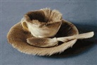 Carolyn Lanchner, Meret Oppenheim - Oppenheim: Object