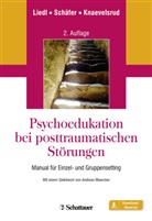 Knaevelsrud, Christi Knaevelsrud, Christine Knaevelsrud, Lied, Alexandr Liedl, Alexandra Liedl... - Psychoedukation bei posttraumatischen Störungen