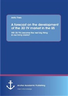 Anita Theis - A forecast on the development of the 3D TV market in the US: Will 3D TVs become the next big thing in our living rooms?