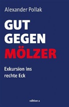 Alexander Pollak - Gut gegen Mölzer