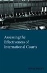 Yuval Shany - Assessing the Effectiveness of International Courts