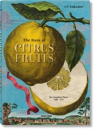 Iris Lauterbach, Johann Chr. Volkamer - The Book of Citrus Fruits
