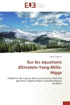 Calvin Tadmon, Tadmon-c - Sur les equations d einstein yang