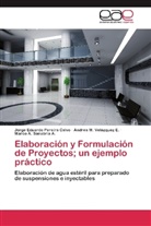 Jorge Eduard Pereira Calvo, Jorge Eduardo Pereira Calvo, Marco A. Sanabria A., Andrea M Velázquez E, Andrea M. Velázquez E. - Elaboración y Formulación de Proyectos; un ejemplo práctico
