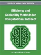 Boris Igelnik, Jacek M. Zurada - Efficiency and Scalability Methods for Computational Intellect