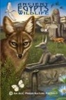 Salima Ikram, Dominique Navarro - Ancient Egypt's Wildlife