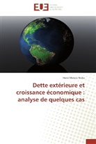 Henri Mweze Nsiku, Nsiku-h - Dette exterieure et croissance