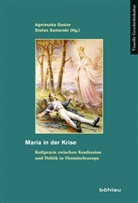 Agnieszk Gasior, Agnieszka Gasior, Agnieszka Herausgegeben von Gasior, Stefan Samerski - Maria in der Krise