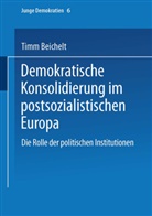 Timm Beichelt - Demokratische Konsolidierung im postsozialistischen Europa