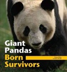 Sarah Bexell, Sarah M. Bexell, Sarah/ Zhihe Bexell, Zhang Zhihe - Giant Pandas