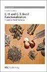 Xavi Ribas, Xavi (Universitat De Girona Ribas, Xavi Ribas, Xavi (Universitat De Girona Ribas, James J. Spivey - C-H and C-X Bond Functionalization