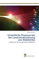 Dagmar Schaefer - Ursächliche Prozesse bei der Laserstrukturierung von Dielektrika