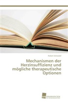 Robert Scheubel - Mechanismen der Herzinsuffizienz und mögliche therapeutische Optionen