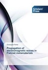 Giuseppe Parisi - Propagation of electromagnetic waves in Fishnet metamaterials