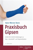 Hans-W Bonn, Hans-Werner Bonn - Praxisbuch Gipsen