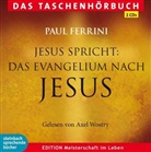 Peter Allemnd, Paul Ferrini, Axel Wostry, Axel Sprecher: Wostry - Jesus spricht, 2 Audio-CDs (Hörbuch)