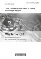 Christoph Metzger, David R. Palmer, Claire E. Welnstein - Lern- und Arbeitsstrategien - WLI-Schule