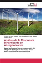 Manuel Burgos Payán, Cristin Carmona Delgado, Cristina Carmona Delgado, Jose Marí Maza Ortega, Jose María Maza Ortega - Análisis de la Respuesta Dinámica de un Aerogenerador