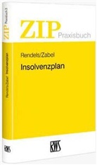 Wirtschaftsprüfer Karsten Zabel, Rendel, Dietmar Rendels, Zabel, Karsten Zabel - Insolvenzplan