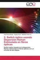 Arie Flores-Rosas, Ariel Flores-Rosas, Baldem Ibarra E, Baldemar Ibarra E., Evgen Kuzin, Evgeny Kuzin - 3. Switch óptico usando Dispersión Raman Estimulada en fibras ópticas