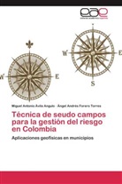 Miguel Antoni Ávila Angulo, Miguel Antonio Ávila Angulo, Ángel Forero Torres, Ángel Andrés Forero Torres - Técnica de seudo campos para la gestión del riesgo en Colombia
