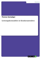 Thomas Gamsjäger - Leistungskennzahlen in Krankenanstalten