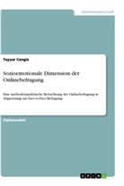 Tayyar Cengiz - Sozioemotionale Dimension der Onlinebefragung