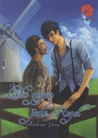 Andrew Grey - Liebe gegen jede Regel