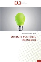 Alain Daniel Libebele Musoki, Musoki-a - Structure d un reseau d entreprise