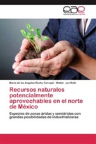 María de los Angele Rechy Carvajal, María de los Angeles Rechy Carvajal, Walter Roth, Walter von Roth, Wal von Roth, Walter von Roth - Recursos naturales potencialmente aprovechables en el norte de México
