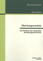 Adrian Schiebe - Überhangmandate