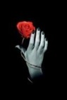 Lo Scarabeo - ROSE ET MAIN  - PETIT CARNET