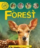 Sean Callery, Callery Sean - Life Cycles: Forest
