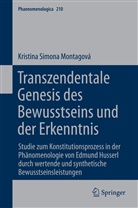 Kristina Montagova - Transzendentale Genesis des Bewusstseins und der Erkenntnis