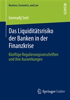 Gennadij Seel - Das Liquiditätsrisiko der Banken in der Finanzkrise