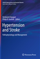 Venkates Aiyagari, Venkatesh Aiyagari, B Gorelick, B Gorelick, Philip B. Gorelick - Hypertension and Stroke