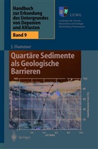 Jörg Hammer - Handbuch zur Erkundung des Untergrundes von Deponien und Altlasten