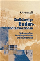 Karsten Grunewald - Großräumige Bodenkontaminationen