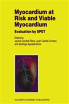Santiago Aguandé-Bruix, J. Candell-Riera, Joa Castell-Conesa, Joan Castell-Conesa - Myocardium at Risk and Viable Myocardium