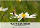 Kurt Tappeiner - Frühlingserwachen (Posterbuch DIN A4 quer)