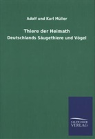 Adolf Müller, Adolf und Karl Müller, Karl Müller - Thiere der Heimath