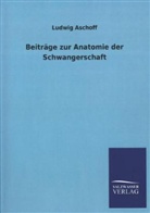 Ludwig Aschoff - Beiträge zur Anatomie der Schwangerschaft