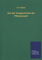 W Gothan, W. Gothan - Aus der Vorgeschichte der Pflanzenwelt