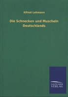 Alfred Lehmann - Die Schnecken und Muscheln Deutschlands