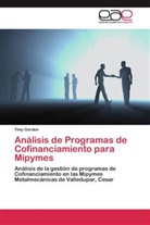 Yimy Gordon - Análisis de Programas de Cofinanciamiento para Mipymes