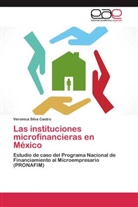 Veronica Silva Castro - Las instituciones microfinancieras en México