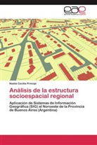 Noelia Cecilia Principi - Análisis de la estructura socioespacial regional